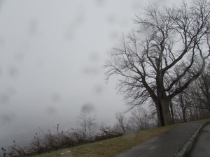 Blue Ridge Parkway view